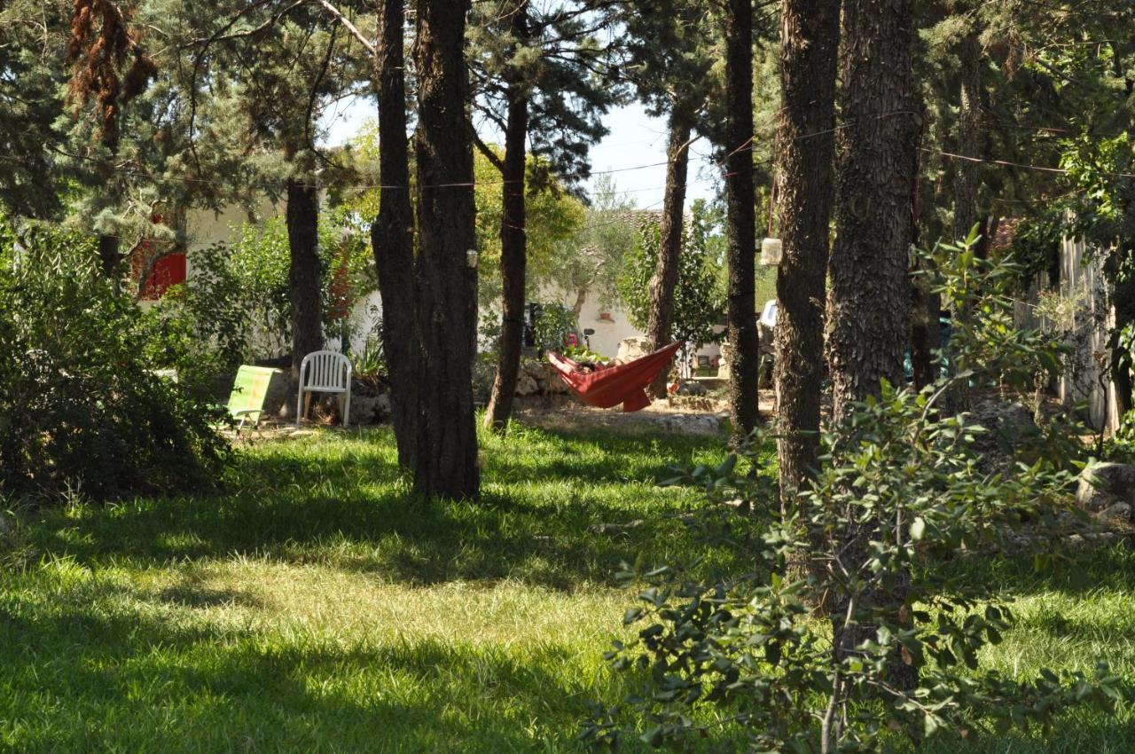 Villa Parco Alta Murgia Cassano delle Murge Exterior foto