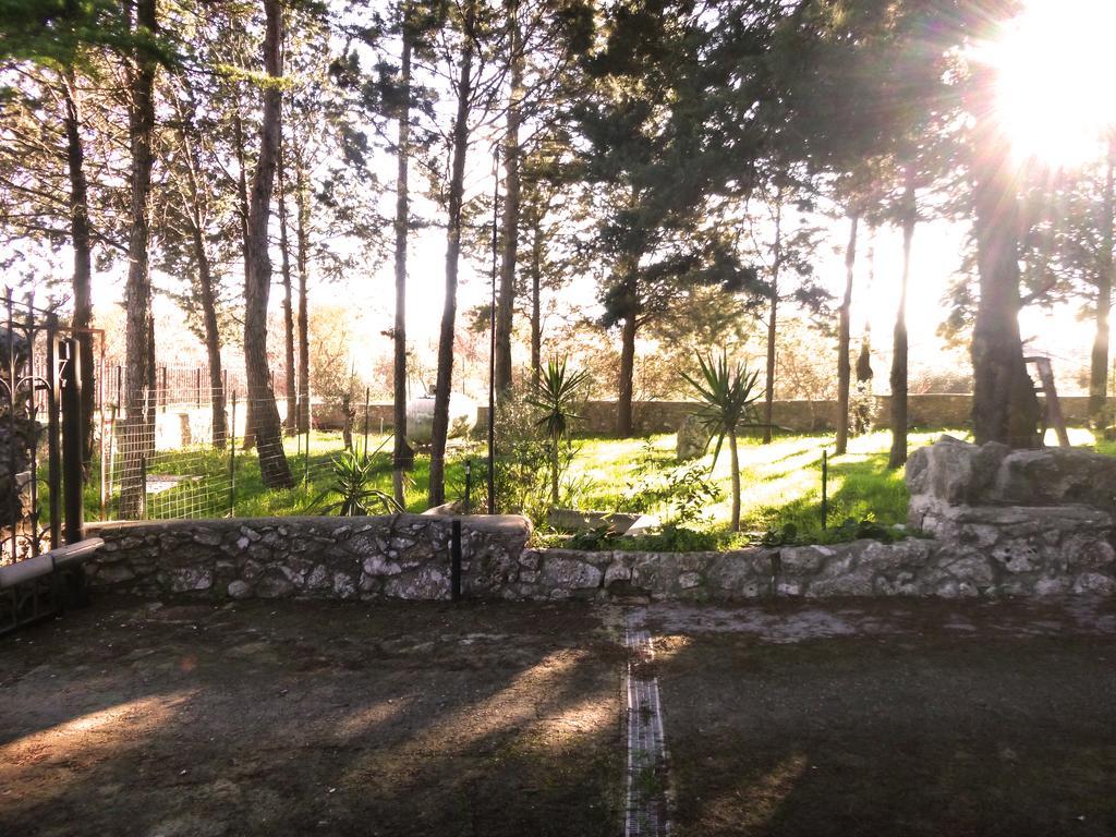 Villa Parco Alta Murgia Cassano delle Murge Exterior foto
